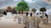 A photo of a Kingsmead Marquee