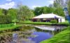 Photo: Norfolk Bird Fair